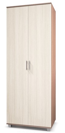 Шкаф 2-дверный Е-20, Ясень шимо светлый/темный в Магнитогорске - изображение