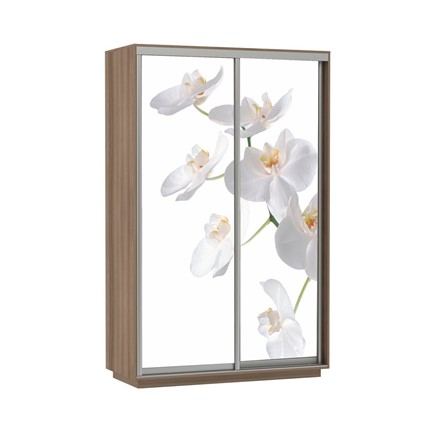 Шкаф Экспресс 1400x600x2200, Орхидея белая/шимо темный в Челябинске - изображение