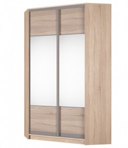 Шкаф угловой Аларти (YA-230х1250(602) (2) Вар. 4; двери D3+D3), с зеркалом в Миассе