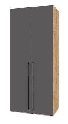 Двухдверный шкаф С21, Золотой дуб/Графит в Миассе - изображение