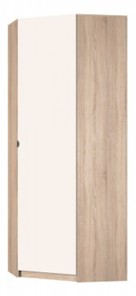 Распашной шкаф угловой Реал (YR-230х884-TR (9)-М Вар.2), без зеркала в Миассе