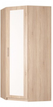 Шкаф угловой Реал (YR-230х884 (9)-М Вар.1), с зеркалом в Миассе - изображение