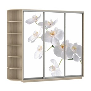Шкаф Экспресс со стеллажом, 2100х600х2400, Орхидея белая/шимо светлый в Челябинске