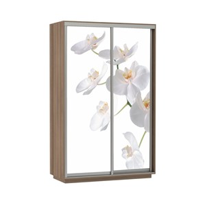 Шкаф 2-дверный Экспресс 1600x600x2400, Орхидея белая/шимо темный в Челябинске