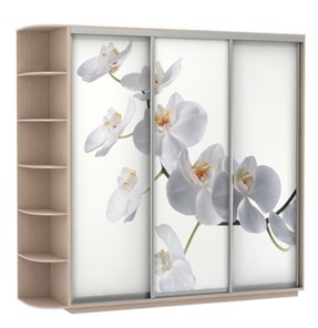 Шкаф 3-створчатый Экспресс со стеллажом, 2700х600х2200, Орхидея белая/дуб молочный в Челябинске