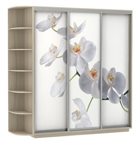 Шкаф 3-дверный Экспресс со стеллажом, 2700х600х2200, Орхидея белая/шимо светлый в Челябинске