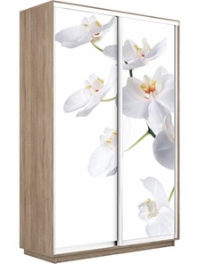 Шкаф 2-х створчатый Экспресс 1200x450x2200, Орхидея белая/дуб сонома в Челябинске - предосмотр