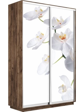 Шкаф-купе двухдверный Экспресс 1200x450x2200, Орхидея белая/дуб табачный в Челябинске - изображение