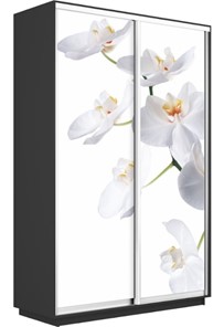 Шкаф 2-створчатый Экспресс 1200x450x2400, Орхидея белая/серый диамант в Челябинске - предосмотр
