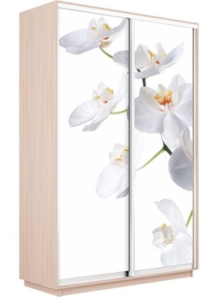 Шкаф 2-створчатый Экспресс 1200x600x2200, Орхидея белая/дуб молочный в Челябинске - изображение