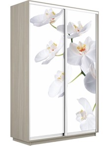 Шкаф 2-х створчатый Экспресс 1200x600x2200, Орхидея белая/шимо светлый в Челябинске