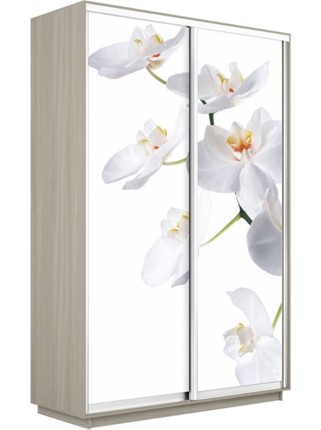 Шкаф 2-х створчатый Экспресс 1200x600x2200, Орхидея белая/шимо светлый в Челябинске - изображение