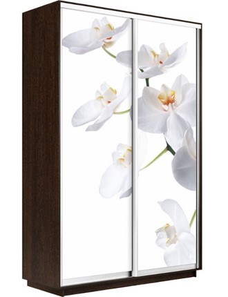Шкаф-купе двухдверный Экспресс 1200x600x2200, Орхидея белая/венге в Челябинске - изображение