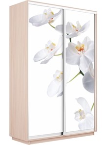 Шкаф двухдверный Экспресс 1200x600x2400, Орхидея белая/дуб молочный в Челябинске