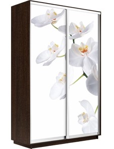 Шкаф 2-дверный Экспресс 1200x600x2400, Орхидея белая/венге в Миассе