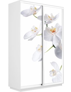 Шкаф-купе двухдверный Экспресс 1400x600x2200, Орхидея белая/белый снег в Челябинске