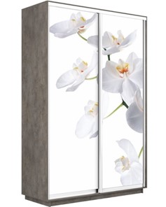 Шкаф-купе двухдверный Экспресс 1400x600x2200, Орхидея белая/бетон в Челябинске