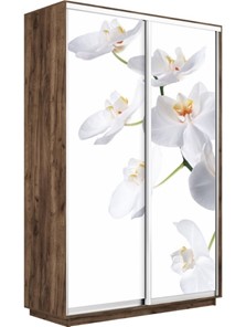 Шкаф 2-х створчатый Экспресс 1400x600x2400, Орхидея белая/дуб табачный в Челябинске