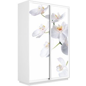 Шкаф Экспресс 1600x450x2400, Орхидея белая/белый снег в Миассе