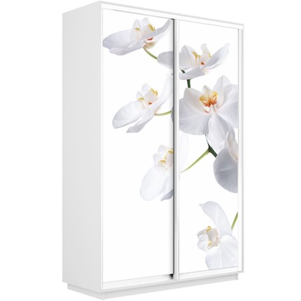 Шкаф Экспресс 1600x450x2400, Орхидея белая/белый снег в Челябинске - изображение