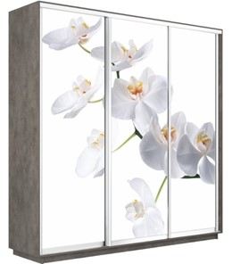 Шкаф 3-створчатый Экспресс 1800х450х2400, Орхидея белая/бетон в Челябинске
