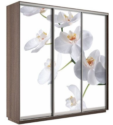 Шкаф Экспресс 1800х600х2200, Орхидея бела/шимо темный в Магнитогорске - изображение
