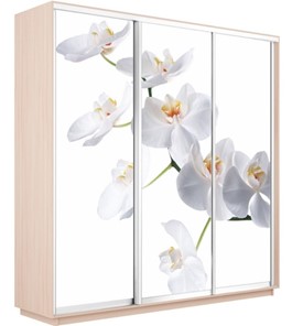 Шкаф 3-дверный Экспресс 1800х600х2200, Орхидея белая/дуб молочный в Челябинске - предосмотр