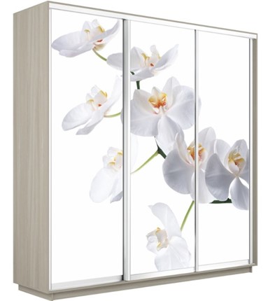 Шкаф 3-створчатый Экспресс 1800х600х2200, Орхидея белая/шимо светлый в Челябинске - изображение