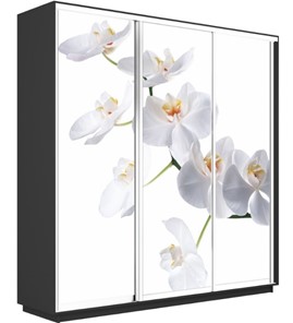 Шкаф 3-дверный Экспресс 1800х600х2400, Орхидея белая/серый диамант в Челябинске