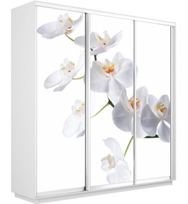 Шкаф 3-створчатый Экспресс 2100х450х2200, Орхидея белая/белый снег в Челябинске
