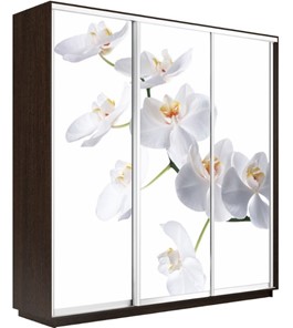 Шкаф 3-х дверный Экспресс 2100х450х2200, Орхидея белая/венге в Челябинске - предосмотр