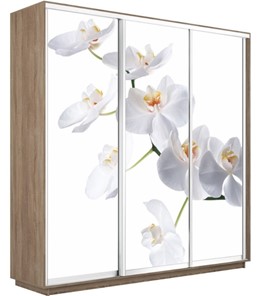 Шкаф 3-х створчатый Экспресс 2100х600х2400, Орхидея белая/дуб сонома в Челябинске - предосмотр