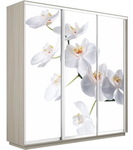 Шкаф 3-х створчатый Экспресс 2400х600х2200, Орхидея белая/шимо светлый в Миассе