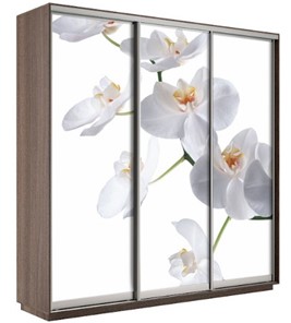 Шкаф 3-х дверный Экспресс 2400х600х2400, Орхидея белая/шимо темный в Магнитогорске