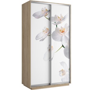 Шкаф 2-х створчатый Хит 1200x600x2200, белая орхидея, дуб сонома в Копейске