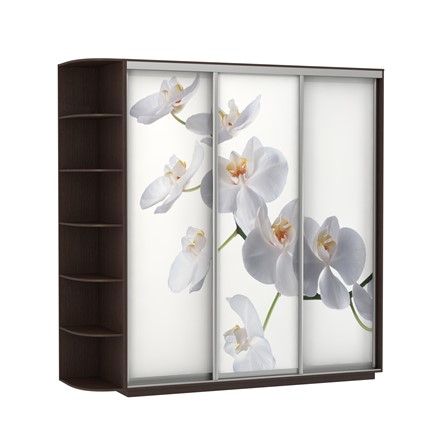 Шкаф Экспресс со стеллажом, 2700х600х2400, Орхидея белая/венге в Челябинске - изображение