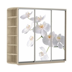 Шкаф 3-х створчатый Экспресс со стеллажом, 2400х600х2400, Орхидея белая/дуб сонома в Челябинске