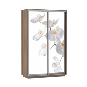 Шкаф 2-створчатый Экспресс 1200x600x2400, Орхидея белая/шимо темный в Челябинске