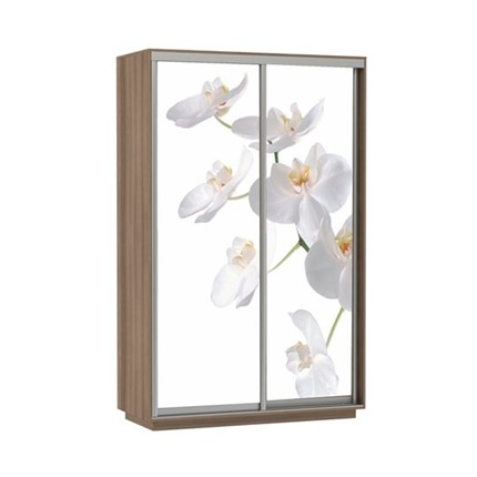 Шкаф 2-створчатый Экспресс 1200x600x2400, Орхидея белая/шимо темный в Челябинске - изображение