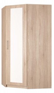 Распашной шкаф угловой Реал (YR-198х884 (11)-М Вар.1), с зеркалом в Магнитогорске