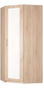 Распашной шкаф угловой Реал (YR-230х1034 (3)-М Вар.4), с зеркалом в Магнитогорске