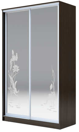 Шкаф 2-х створчатый 2300х1200х620 два зеркала, "Цапли" ХИТ 23-12-66-01 Венге Аруба в Копейске - изображение
