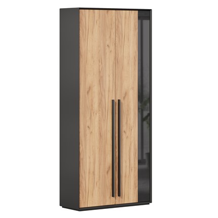 Шкаф для прихожей 2-дверный Неаполь ЛД.134050.000 (Черный/Дуб Золотой) в Челябинске - изображение