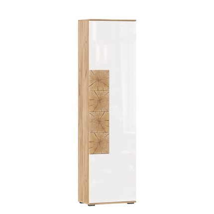 Шкаф одностворчатый Фиджи, 659300, белый/дуб золотой в Магнитогорске - изображение