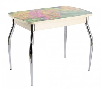 Кухонный стол раскладной ПГ мини СТФ, дуб молочный лдсп/луговые цветы/35 хром гнутые в Миассе