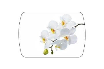 Кухонный стол раздвижной Танго, белый/орхидея в Челябинске - предосмотр 3