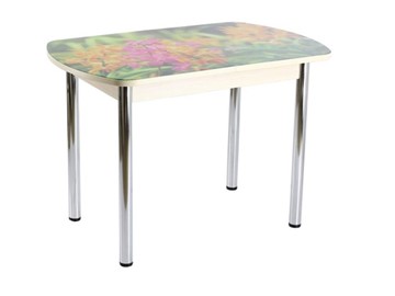 Кухонный стол раскладной ПГ-01 СТФ, дуб молочный ЛДСП/луговые цветы/39 прямые трубы хром в Копейске