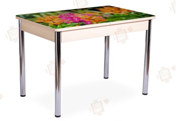 Кухонный раскладной стол Айсберг-02 СТФ, Дуб ЛДСП/полевые цветы/ноги хром прямые в Миассе - предосмотр
