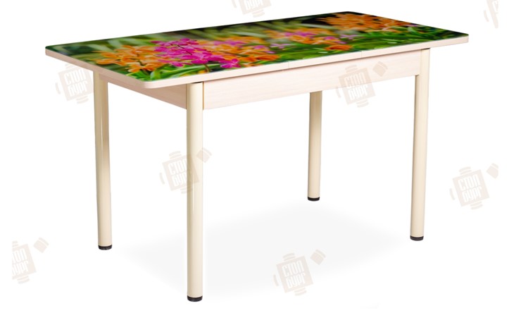 Кухонный стол раздвижной Айсберг-02 СТФ, Дуб ЛДСП/полевые цветы/ноги крашеные в Челябинске - изображение 2