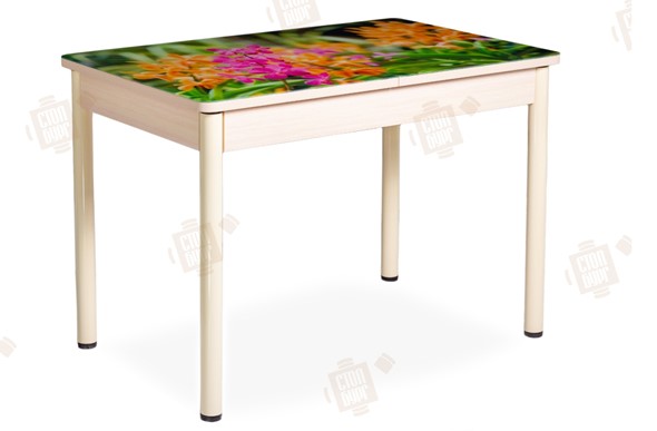 Кухонный стол раздвижной Айсберг-02 СТФ, Дуб ЛДСП/полевые цветы/ноги крашеные в Копейске - изображение